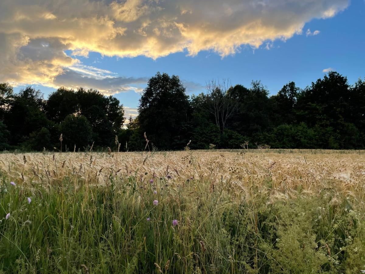 度假居 Sjoenaera Norrtälje
